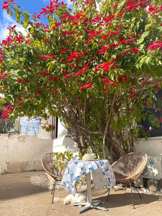 Villa Sa Torre Ibiza Town Ngoại thất bức ảnh