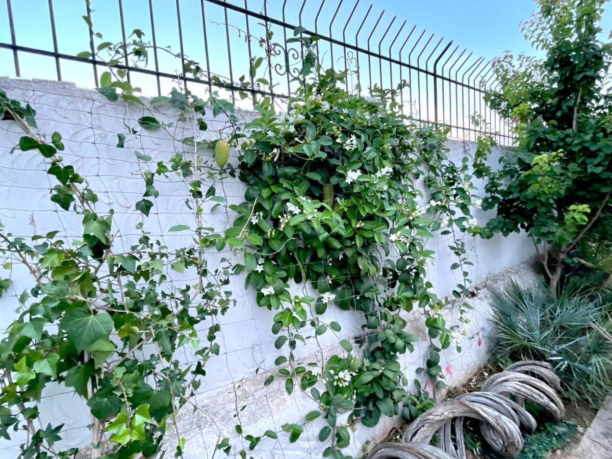 Villa Sa Torre Ibiza Town Ngoại thất bức ảnh